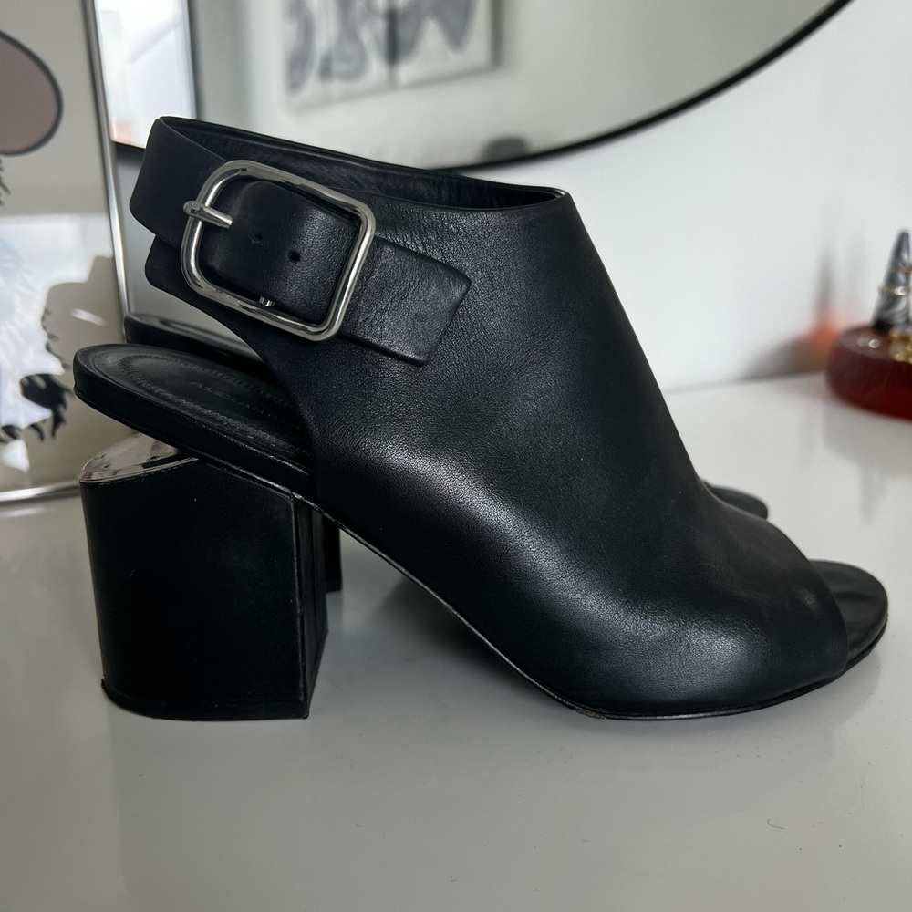 Alexander wang heels